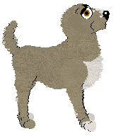 Profile image of Lex/Mockingbird's Semi-Arid Climate