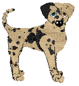 Profile image of Poppyhill's Sand Pastry at SzK