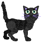 Beefy'z Love And Gleepspace — “Stella”