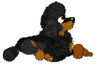 WAA/Beefy'z If A Ghost Touches My Wig He's Dying Twice — “Henry”