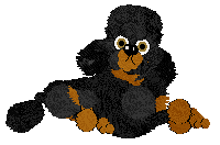 WAA/Beefy'z If A Ghost Touches My Wig He's Dying Twice — “Henry”