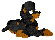 WAA/Beefy'z I Could Tell By Your Shoes — “Doc”