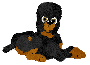 WAA/Beefy'z I Could Tell By Your Shoes — “Doc”