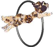 Sour's Raw and Unshelled — “Pecan”