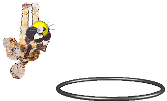 Sour's Raw and Unshelled — “Pecan”