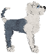 Sz/Poppyhill's Thou Bonnie Bride — “Waivey”