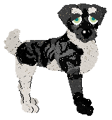 Billywix Neroli Outrenoir — “Outrenoir”