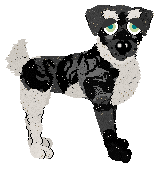 Billywix Neroli Outrenoir — “Outrenoir”