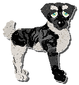 Profile image of Billywix Neroli Outrenoir