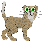 Tao's Fifth Avenue at Mythic Silence — “Aven”