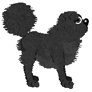 Lex's Visions of Sugarplums at Mythic Silence — “Ballet”