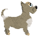 Bec's Herbal Remedy at Mythic Silence — “Eyebright”