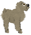 EC's I Found This in the Dryer — “Humphrey”