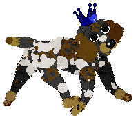 Profile image of Sz/FDL's Delft on Canvas