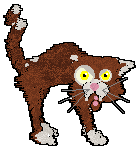 Profile image of Ferality's Just Lentils