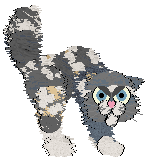 Ferality's Juniper Berry — “Juni”