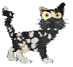 Ferality's Morning Glory — “Gloria”