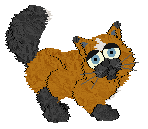 Ferality's Not A Fox — “Fox”