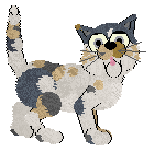 King's Lucky Me at Ferality — “Luck”