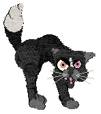 Profile image of King's A Wee Bit Prickly