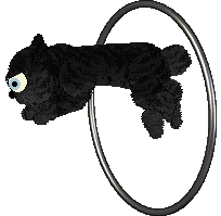 Ferality's Xero to Hero — “Xero”