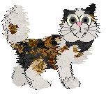 Ferality's Quarter Time — “QT”