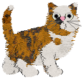 Ferality's In The In Between — “Limbo”