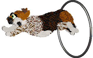 Ferality's Hoa Hoa Hoa Hoa — “Autumn”