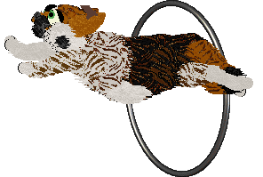 Ferality's Hoa Hoa Hoa Hoa — “Autumn”