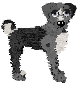 Alena's Fish Outta Water at Ferality — “Wrasse”