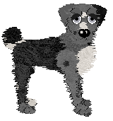 Alena's Fish Outta Water at Ferality — “Wrasse”