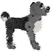 Alena's Fish Outta Water at Ferality — “Wrasse”