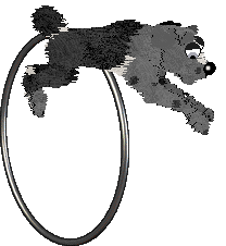 Alena's Fish Outta Water at Ferality — “Wrasse”