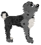 Alena's Fish Outta Water at Ferality — “Wrasse”