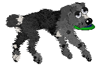 Alena's Fish Outta Water at Ferality — “Wrasse”