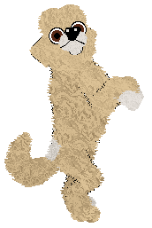 Mockingbird's A Cut Above at Ferality — “Citrina”