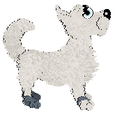 Profile image of KKEE/King's Short Stuff