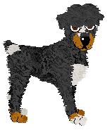 Mockingbird's King of the Mountain at Ferality — “Juneau”