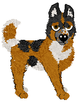 Amphigory's Got Me On My Knees at Ferality — “Layla”