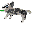 Spellbound's Smash or Paz at Ferality — “Paz”