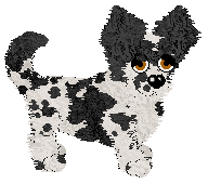 Spellbound's I'm All Ears at Ferality — “Ears”