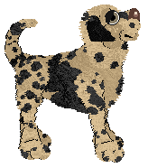 Ferality's Fat Stack — “Pancake”