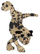 Ferality's Fat Stack — “Pancake”