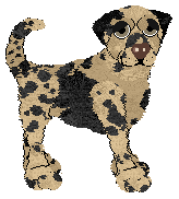 Ferality's Fat Stack — “Pancake”