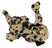 Ferality's Fat Stack — “Pancake”