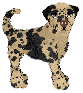 Ferality's Fat Stack — “Pancake”