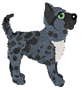 Ferality's Lipstick In My Valentino Bag — “Valentina”