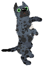 Ferality's Lipstick In My Valentino Bag — “Valentina”