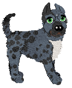 Ferality's Lipstick In My Valentino Bag — “Valentina”