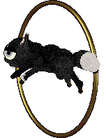 Calluna/Whimsy's Minted Majesty — “Pennyworth”